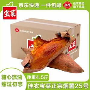 Goodfarmer 佳農(nóng) 寶菜 山東沙地蜜薯 單果100g+ 凈重4.5斤