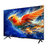 TCL 雀5 55F285C 液晶電視 24款 55英寸 4K（領補貼，發(fā)全國）