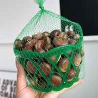 出口品質(zhì)！滿栗香 2025新下樹新鮮青龍板栗 2.5斤