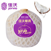 JOYVIO 佳沃 椰青 單果900g+ 9個