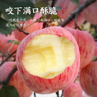 新鮮當(dāng)季整箱煙臺(tái)紅富士蘋(píng)果山東棲霞新鮮孕婦吃的水果脆甜