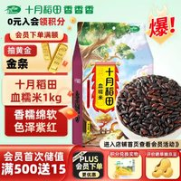 SHI YUE DAO TIAN 十月稻田 血糯米 1kg 香糯綿軟含花青素