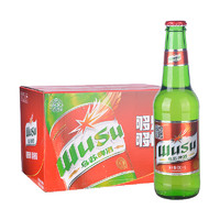 WUSU 烏蘇啤酒 紅烏蘇啤酒620ml*12瓶