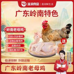 溫潤食品 黃羽三黃雞1kg*4件