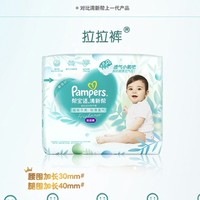 Pampers 幫寶適 寶寶拉拉褲 XL84片