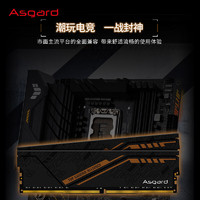 Asgard 阿斯加特 TUF聯(lián)名款 DDR4 3600 臺(tái)式機(jī)內(nèi)存條 金倫加-黑橙甲