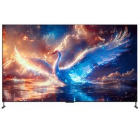 FFALCON 雷鳥 鶴7 25款 100R685C Max 液晶電視 100英寸 4K（領(lǐng)惠州，補(bǔ)全國）
