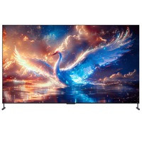 FFALCON 雷鳥 鶴7 25款 100R685C Max 液晶電視 100英寸 4K（領(lǐng)惠州，補全國）