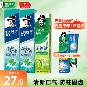 好來（DARLIE）原黑人清新雙效薄荷味大容量護(hù)齦成人含氟牙膏 清新雙效200g*2+綠茶160g