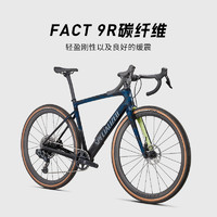 SPECIALIZED 閃電 DIVERGE EXPERT 碳纖維多功能公路自行車