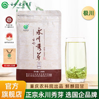 YUNLING TEA 云嶺茶業(yè) 永川秀芽 綠茶（極品級）極川100g復(fù)合袋