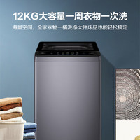 Haier 海爾 波輪洗衣機全自動家用 12公斤 XQB120-BSE629