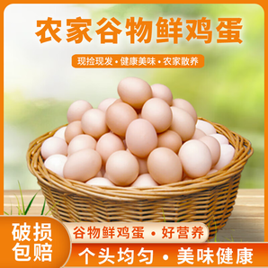 舌尖攻略蛋墩墩農(nóng)家散養(yǎng)雞蛋谷飼鮮雞蛋農(nóng)家雞蛋早餐食材蛋白單枚40g±5g 谷飼鮮雞蛋 10枚