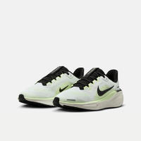 NIKE 耐克 PEGASUS 41 公路跑步鞋 FN5041-102