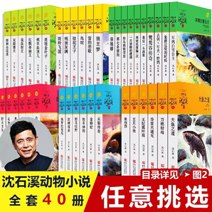 【可選40冊套裝】沈石溪 動物小說全集 動物小說大王沈石溪全套 可選： 【40冊套裝】狼王夢+斑羚飛渡+最后一頭戰(zhàn)象等