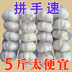 新客直降 金鄉(xiāng)紫皮大蒜頭干蒜批發(fā)包郵特大蒜瓣新大蒜新干蒜包郵