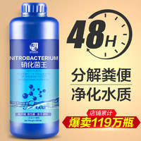 瘋狂石頭 硝化細菌 600ML裝