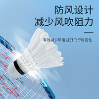 LI-NING 李寧 尼龍羽毛球 6只裝  LN-AYQR016-77