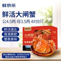 鮮京采 大閘蟹 公蟹4.5兩 母蟹3.5兩 4對(duì)8只 去繩足重 死蟹包賠 螃蟹禮盒