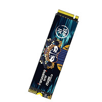 FANXIANG 梵想 S790MAX NVMe M.2 固態(tài)硬盤 1TB（PCI-E 4.0）