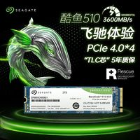 SEAGATE 希捷 酷玩510系列 固態(tài)硬盤 NVMe M.2（PCI-E4.0）