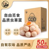 我老家 蟲草蛋山林散養(yǎng)草雞蛋 40枚 2000g