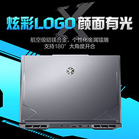 機械革命 極光X 12代酷睿版 16英寸游戲本（i7-12800HX、16GB、512G、RTX 4060 8G）