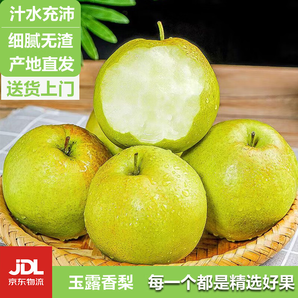 HUABEIQIANG山西玉露香梨新鮮水果產(chǎn)地直發(fā)彩箱水果禮盒JD送貨上門(mén) 5斤大果彩箱裝(凈果4.5斤)