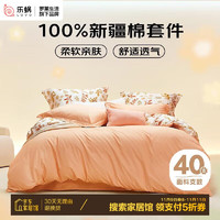 LOVO 樂蝸家紡 20點(diǎn)開始：LOVO羅萊生活 ins風(fēng)全棉四件套純棉床單被套雙人床上用品200*230cm