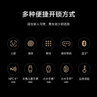 Xiaomi 小米 XMZNMSTO6LK 貓眼智能鎖 M20 Pro