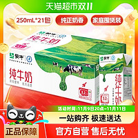 MENGNIU 蒙牛 純牛奶250ml×21包學(xué)生營(yíng)養(yǎng)健康早餐（9月產(chǎn)）