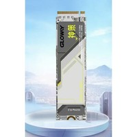 GLOWAY 光威 神策系列NVMe M.2固態(tài)硬盤 4TB PCIe 4.0x4