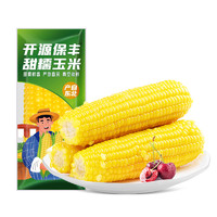 開源保豐 糯玉米 180g*12支