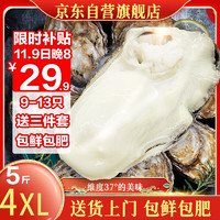 蜀皇 乳山生蠔鮮活特大牡蠣 5斤 4XL(12-18只) 源頭直發(fā) 包郵