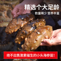 shenwangchao 參王朝 大連即食海參500g 7-10頭