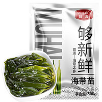 Muhai 目海 福建霞浦 頭水鮮嫩海帶苗 500g*4袋