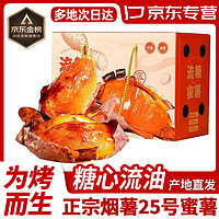 蒲戀 山東煙薯25號(hào)紅薯糖心蜜甜薯烤薯地瓜番薯精選好果 現(xiàn)挖現(xiàn)發(fā) 5斤裝 嘗鮮裝