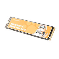 COLORFIRE 鐳風(fēng) MEOW700系列 ME700 M.2 固態(tài)硬盤 1TB（PCI-E4.0）