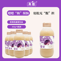 真植 西梅nfc乳酸菌飲料玻璃瓶300g*6瓶