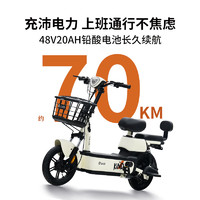TAILG 臺(tái)鈴 電動(dòng)車大麥電動(dòng)自行車48V20AH鉛酸長(zhǎng)續(xù)航70KM新國(guó)標(biāo)可上牌電瓶車 韻彩白