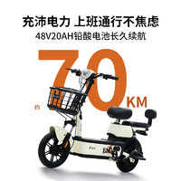 TAILG 臺鈴 電動車大麥電動自行車48V20AH鉛酸長續(xù)航70KM新國標可上牌電瓶車 韻彩白