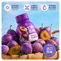 YETAI 椰泰 西梅乳酸菌飲料 138ml*3瓶