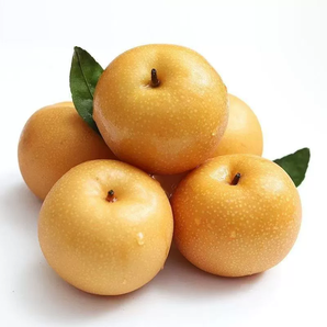 某寶買(mǎi)菜農(nóng)場(chǎng)直發(fā) 正宗萊陽(yáng)豐水梨 5斤