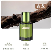 Thalo 塔羅 汽車香水 綠色款 古龍香調(diào) 160ml 1瓶