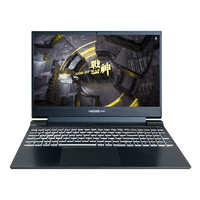 Hasee 神舟 戰(zhàn)神S8 15.6英寸游戲本（i9-12900H、16GB、512GB、RTX 4060）