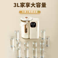 Royalstar 榮事達 電熱水瓶電熱水壺恒溫水壺電水壺3L大容量防燙多段保溫可拆式RP-D30E