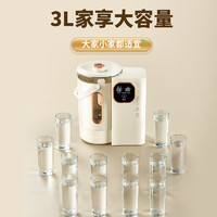 Royalstar 榮事達(dá) 電熱水瓶電熱水壺恒溫水壺電水壺3L大容量防燙多段保溫可拆式RP-D30E