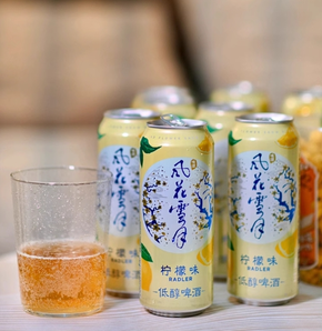 Carlsberg 嘉士伯 風花雪月特釀啤酒 500ml*12罐