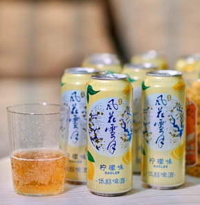 Carlsberg 嘉士伯 風(fēng)花雪月特釀啤酒 500ml*12罐