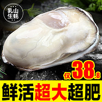 鮮馳 乳山生蠔鮮活10新鮮特大海蠣子5斤帶箱海鮮牡蠣水產(chǎn)整箱商用